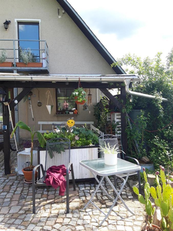 Ferienwohnung Auf Dem Land Rochlitz Exterior photo
